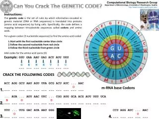 Can You Crack The GENETIC CODE?