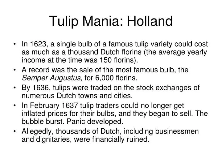tulip mania holland