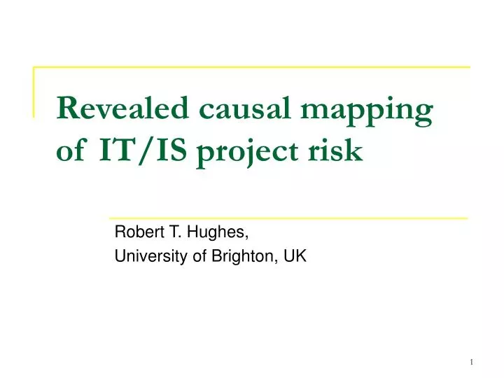 revealed causal mapping of it is project risk