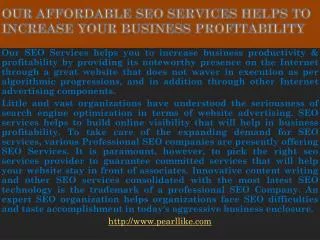 Our affordable SEO Services helps to increase your business profitability