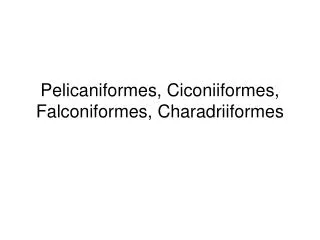 Pelicaniformes, Ciconiiformes, Falconiformes, Charadriiformes