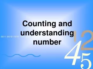 Counting and understanding number