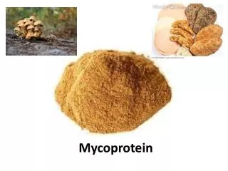 mycoprotein