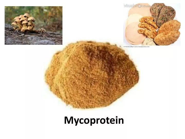mycoprotein