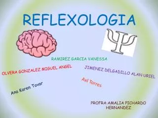 reflexologia