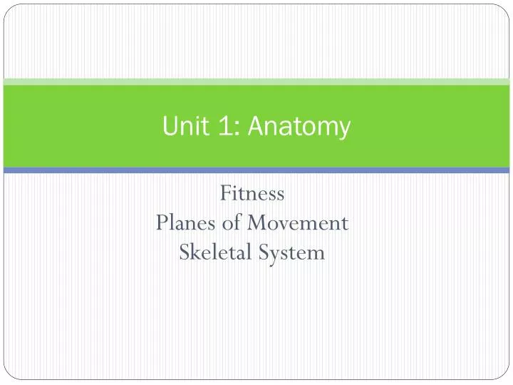 unit 1 anatomy