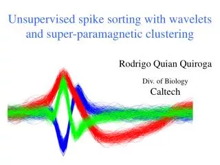 Unsupervised spike sorting with wavelets and super-paramagnetic clustering