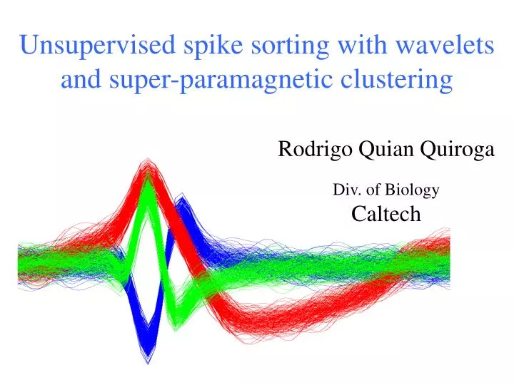 unsupervised spike sorting with wavelets and super paramagnetic clustering