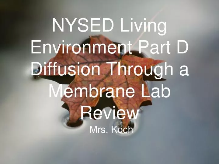 nysed living environment part d diffusion through a membrane lab review