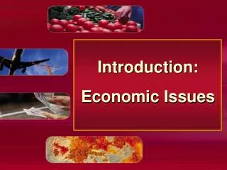 Introduction: Economic Issues