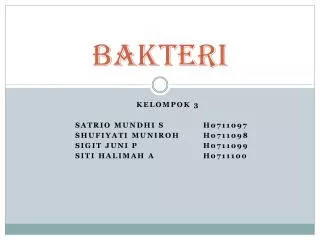 bakteri