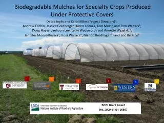 Biodegradable Mulches for Specialty Crops Produced Under Protective Covers