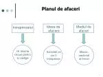 Planul de afaceri - slide 1