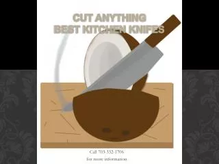 Cut Anything Best Kitchen Knifes