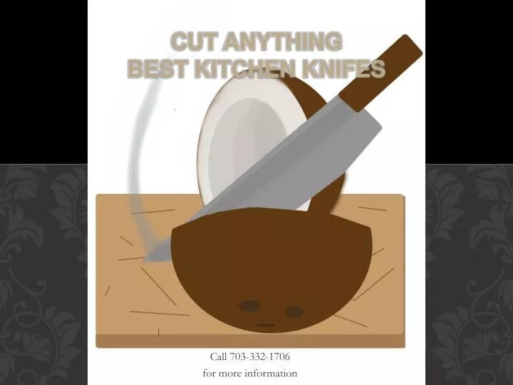 cut anything best kitchen knifes