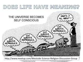 DOES LIFE HAVE MEANING?