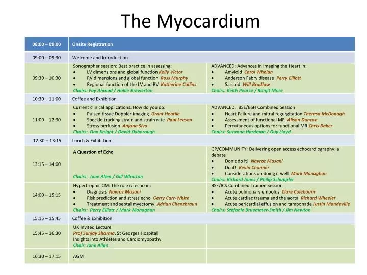 the myocardium