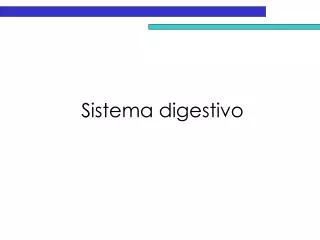 sistema digestivo