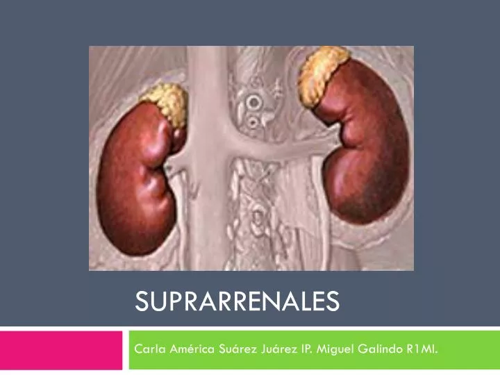 suprarrenales