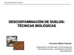 DESCONTAMINACIÓN DE SUELOS: TÉCNICAS BIOLÓGICAS - slide 1