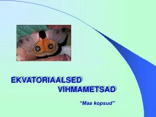 EKVATORIAALSED 						VIHMAMETSAD