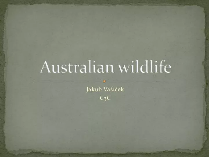 australian wildlife