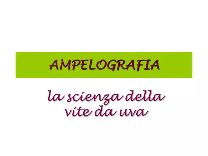 ampelografia