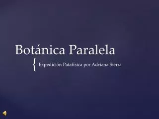 bot nica paralela