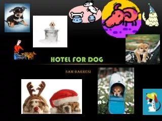 Hotel for Dog