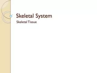 Skeletal System