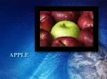Apple - slide 1