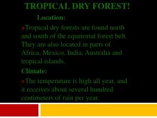 Tropical Dry Forest!
