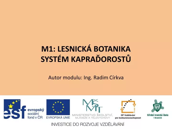 m1 lesnick botanika syst m kapra orost