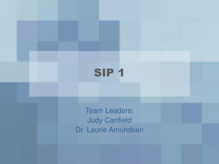 sip 1