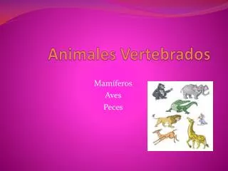 animales vertebrados
