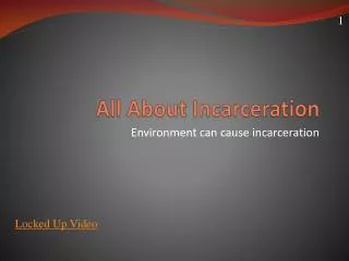 All About Incarceration