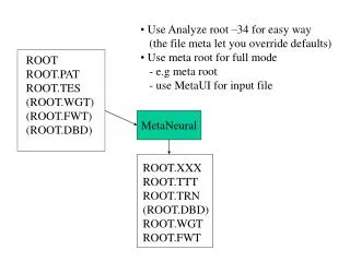 ROOT ROOT.PAT ROOT.TES (ROOT.WGT) (ROOT.FWT) (ROOT.DBD)