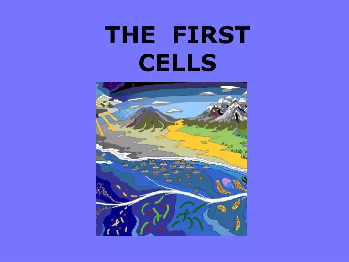 the first cells