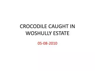 CROCODILE CAUGHT IN WOSHULLY ESTATE