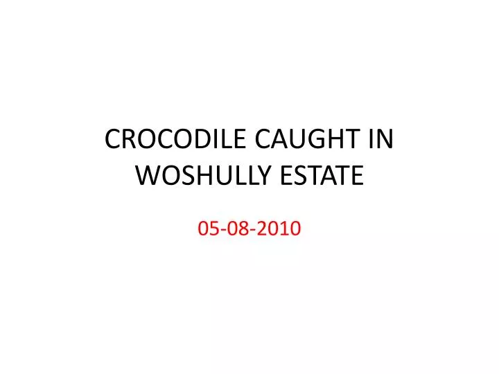 crocodile caught in woshully estate