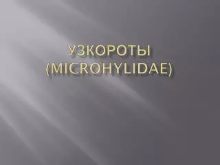 microhylidae