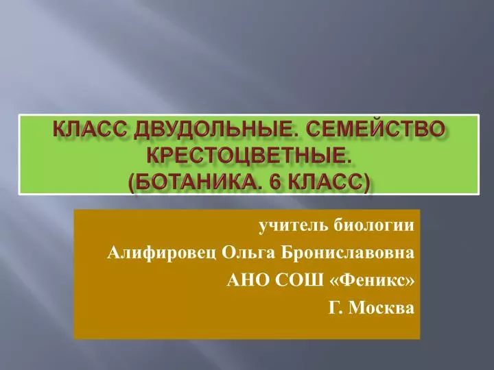 PPT - Класс Двудольные. Семейство Крестоцветные. (Ботаника. 6.