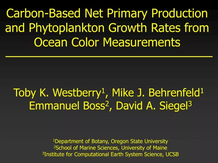 carbon based net primary production and phytoplankton growth rates from ocean color measurements