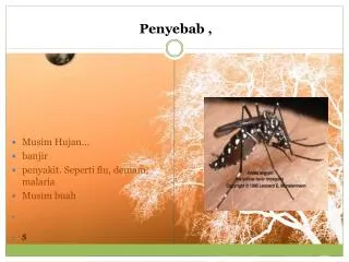 penyebab