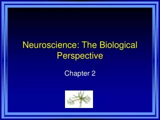 neuroscience the biological perspective