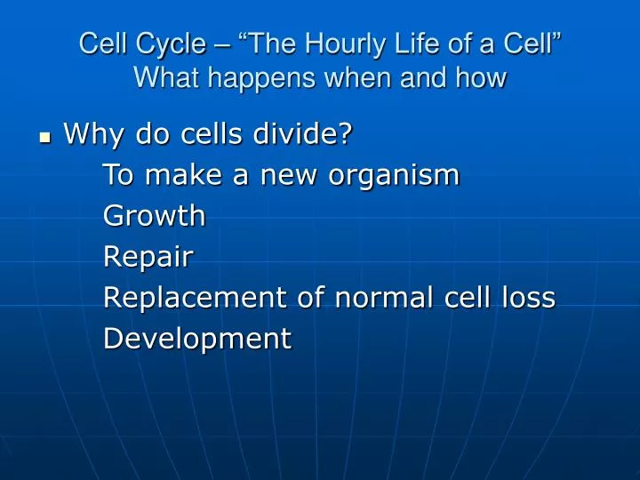 cell cycle the hourly life of a cell what happens when and how