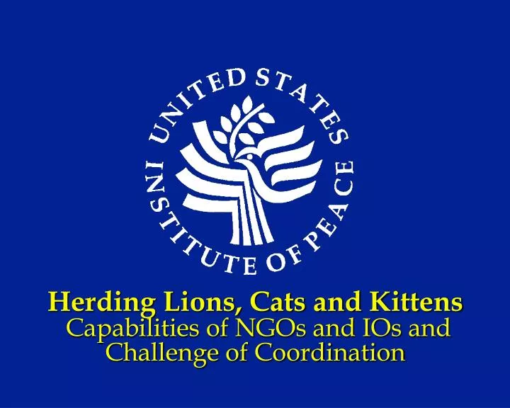 herding lions cats and kittens capabilities of ngos and ios and challenge of coordination