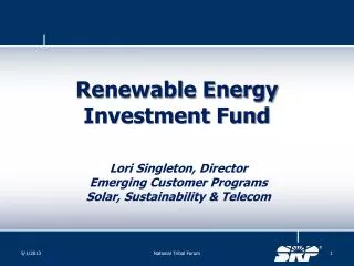 Renewable Energy Investment Fund