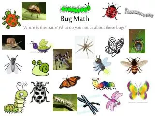 Bug Math