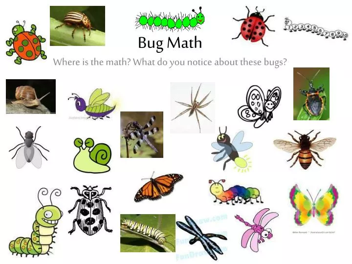 bug math